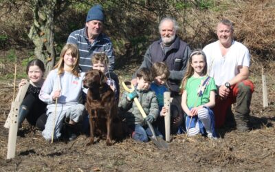 Our Tree Planting Team